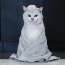 😇
