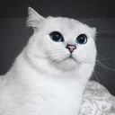😐