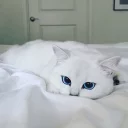 👀