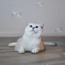 ☺️