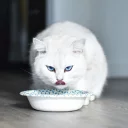 😋