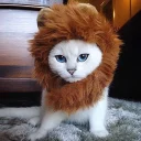 🐆
