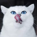 😋