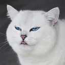 😛