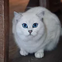 😐