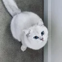 🙂