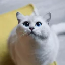 👀