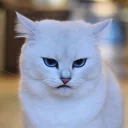 😐