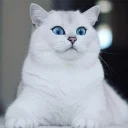 🙃