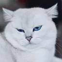 😕