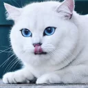 😋
