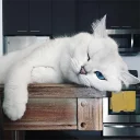😴