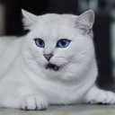 😧