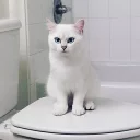 😡