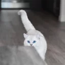 🙂