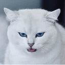 😬
