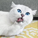 😛