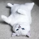 😴