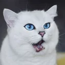 😯