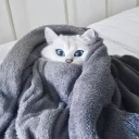 😴