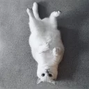 ☺️