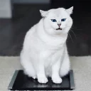 😣