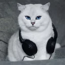 🎧