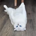 😊