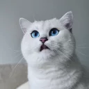 😵