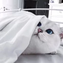 👀