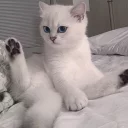 😯