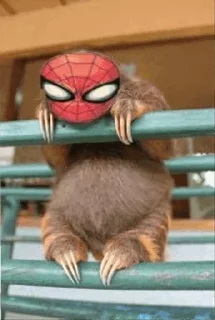 🙂