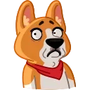 😨