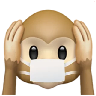 🙉