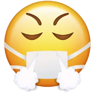 😤