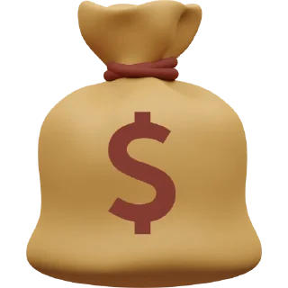 💸
