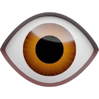 👁