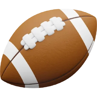 🏈