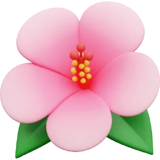 🌺