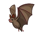 🦇
