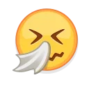 🤧