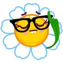 🤓