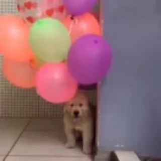 🎈