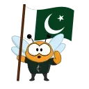 🇵🇰