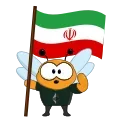 🇮🇷