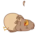 😴