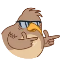 😎