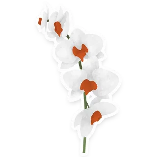 🌸
