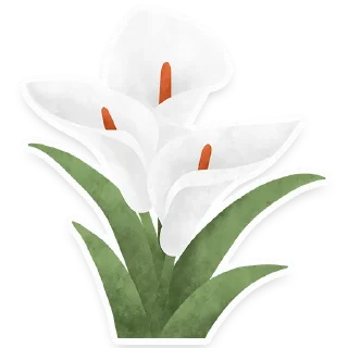 🌷