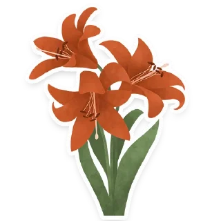 🌺